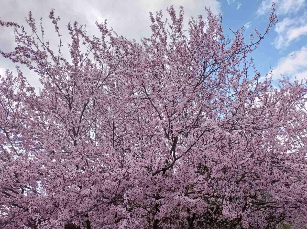 Πρόγνωση καιρού εβδομάδος 29/3-4/4 για το Αγρίνιο...