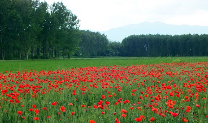 Πρόγνωση καιρού εβδομάδας 15-21/5 για το Αγρίνιο...