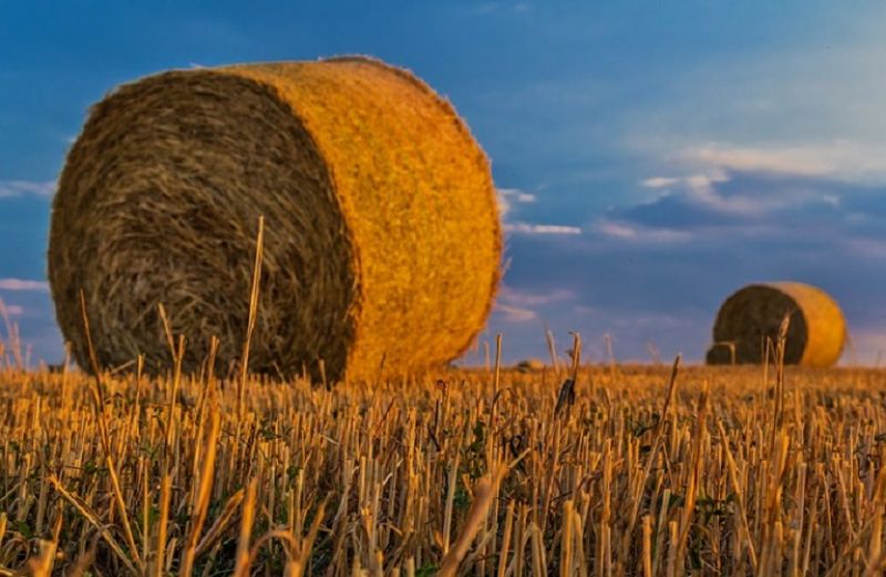 Πρόταση για αύξηση έως 25.000 ευρώ των ενισχύσεων «ήσσονος σημασίας» (de minimis) στους γεωργούς