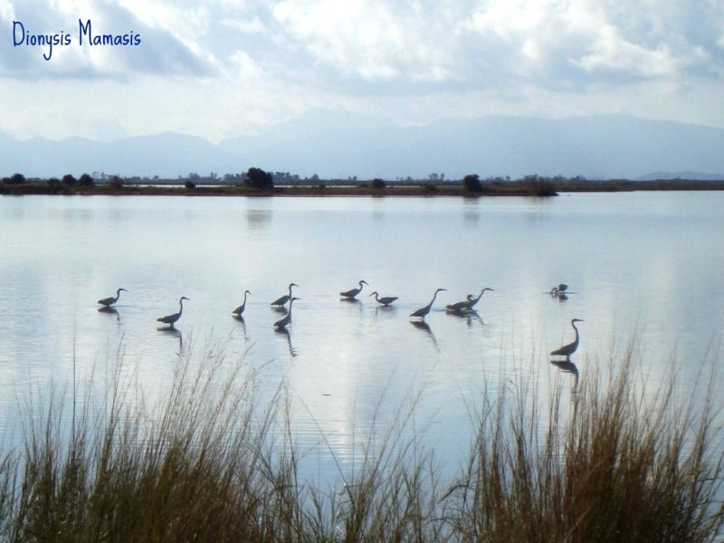 Υπεγράφη το Στρατηγικό Σχέδιο ΟΧΕ λιμνοθάλασσας Μεσολογγίου – Αιτωλικού