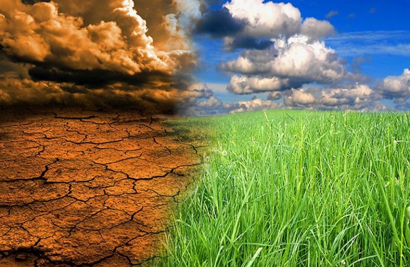 Ο αγροτικός τομέας το μεγάλο θύμα της κλιματικής αλλαγής