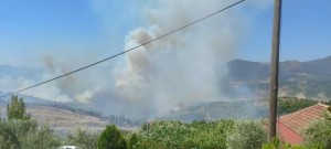 Φωτιά στην Πρέβεζα: Άνοιξε η Ιόνια Οδός, έκλεισε η Εθνική Ιωαννίνων–Άρτας