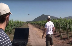 Η συμβολή των ΣμηΕΑ (drones) στην αναβάθμιση του αγροτικού τομέα