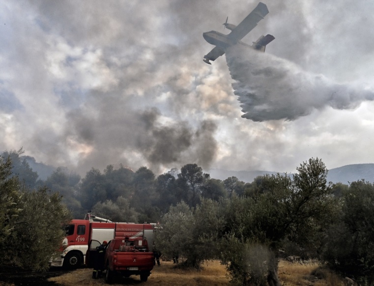 Αντιπυρική περίοδος: Τι ισχύει για τα εναέρια μέσα και τις περιπολίες