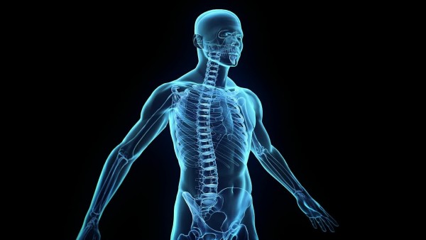 29+1 παράξενες αλήθειες για το σώμα που αγνοούσες