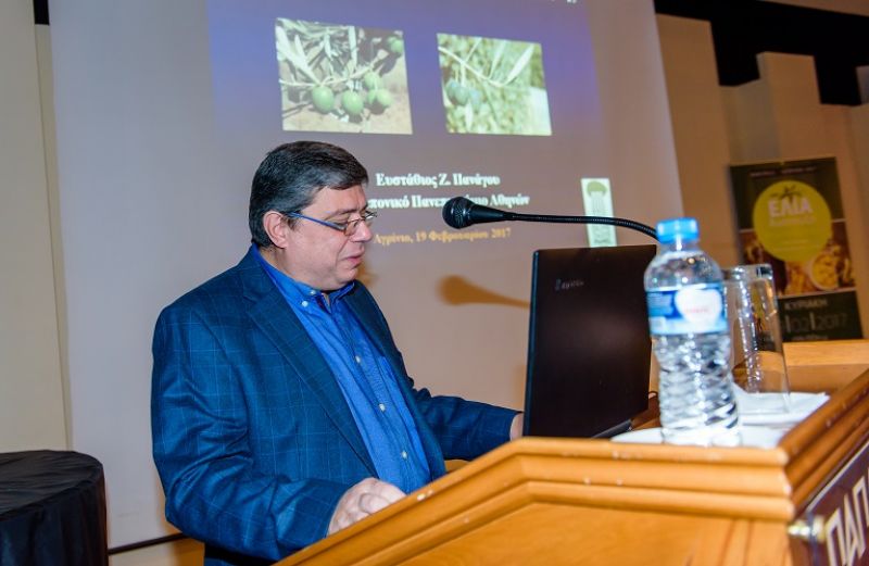 Ενωση Αγρινίου: Οργανοληπτική αξιολόγηση της ελιάς