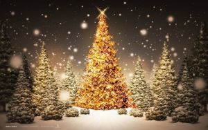 Αγρίνιο: Την Δευτέρα 17/12/2018 ο στολισμός των Χριστουγεννιάτικων δένδρων στις πλατείες