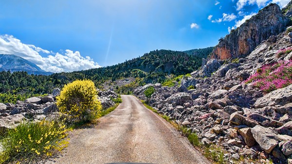 Η Ελλάδα που ξεχάστηκε | Ένας δρόμος-δοκιμασία στα βουνά (Βίντεο)