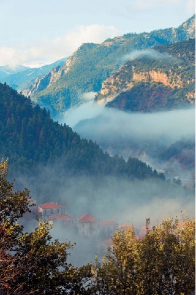 Γενική Συνέλευση και κοπή πίτας στον Πανευρυτανικό Σύλλογο Αιτωλοακαρνανίας