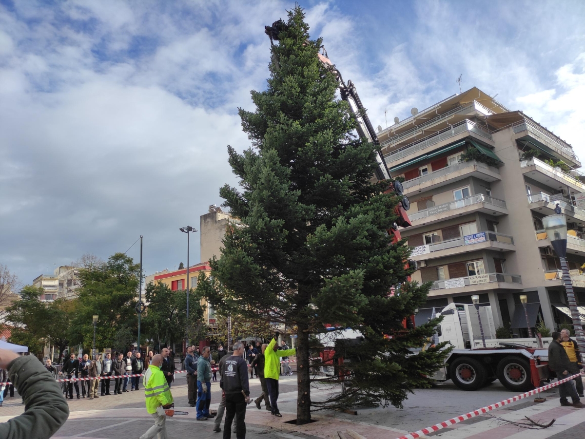 Η τοποθέτηση του Χριστουγενιάτικου δένδρου στην κεντρική πλατεία του Αγρινίου