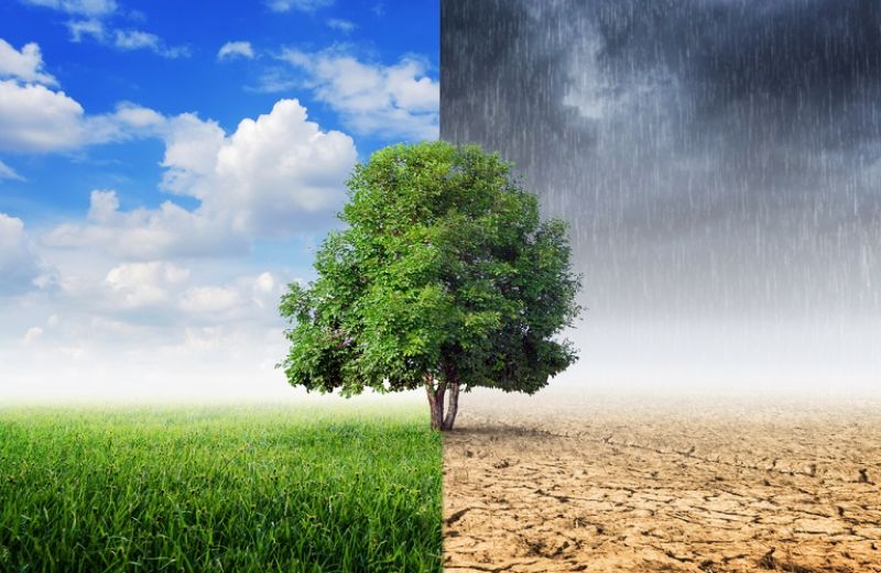 Ν. Φαρμάκης: «Η αντιμετώπιση της κλιματικής αλλαγής μας αφορά όλους»