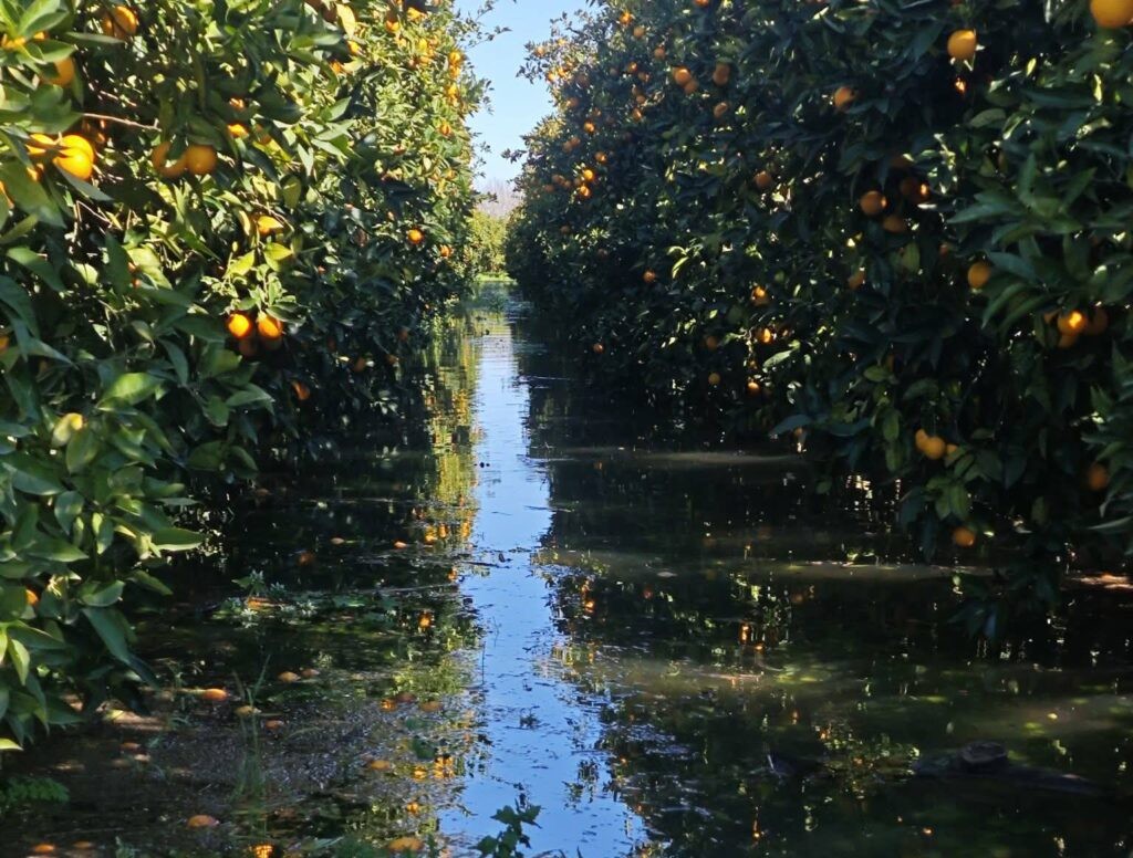 Kαταστροφές σε καλλιέργειες από τα νερά των φραγμάτων-Προβληματισμός στην Περιφέρεια για την επιλογή της ΔΕΗ