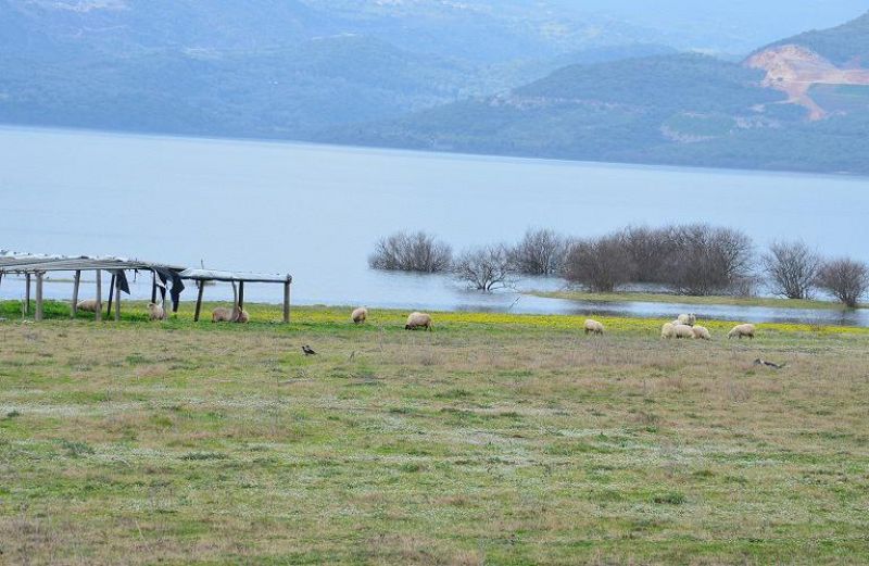 Δυτική Ελλάδα: ποιοι παίρνουν το 14χίλιαρο