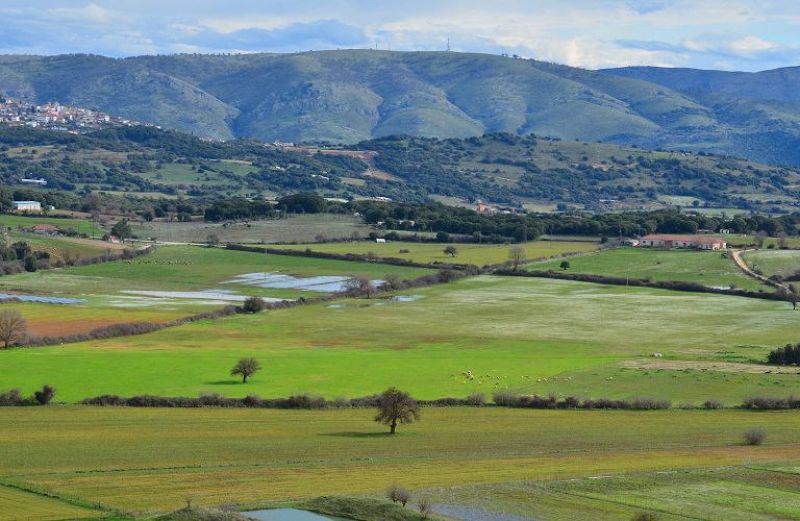 111 εκατ. ευρώ μπαίνουν στους λογαριασμούς 70 χιλ. δικαιούχων