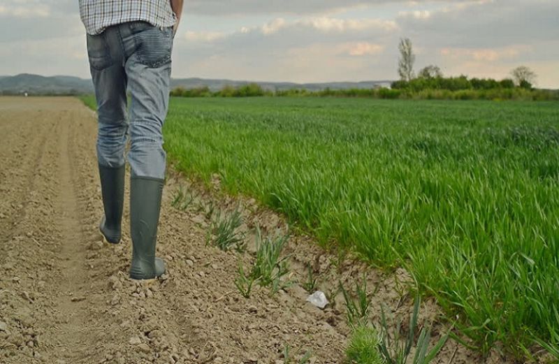 Εγκρίθηκαν ενισχύσεις ύψους 500.000 ευρώ για νέους αγρότες