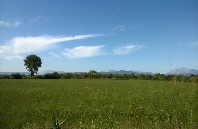 Πληρωμή 573 χιλ. ευρώ από τον ΟΠΕΚΕΠΕ