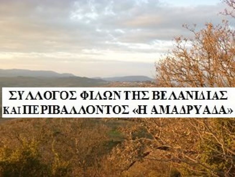 Aρχαιρεσίες στον Σύλλογο Φίλων Βελανιδιάς «η Αμαδρυάδα»