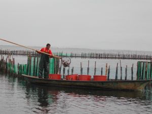 Σε καλό δρόμο η ένταξη της παραδοσιακής αλιείας της λιμνοθάλασσας στα στοιχεία Άυλης Πολιτιστικής Κληρονομιάς