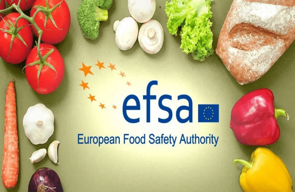 EFSA: πρόγραμμα υποτροφιών για την αξιολόγηση επικινδυνότητας 2021-2022