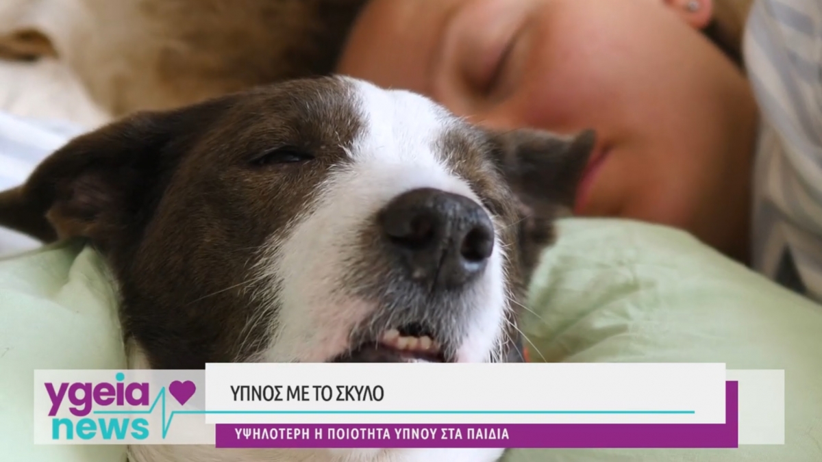 Βίντεο: Ύπνος με το σκύλο μας: Πόσο ασφαλές είναι για τα παιδιά – Τί εκπληκτικό έδειξαν έρευνες