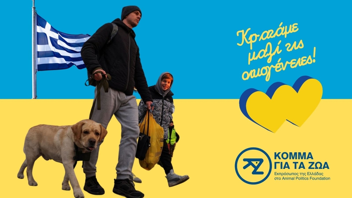 To Κόμμα για τα Ζώα στην ελληνική κυβέρνηση: Κρατήστε ενωμένες τις οικογένειες των προσφύγων από την Ουκρανία, με κατ&#039; εξαίρεση είσοδο των ζώων συντροφιάς!