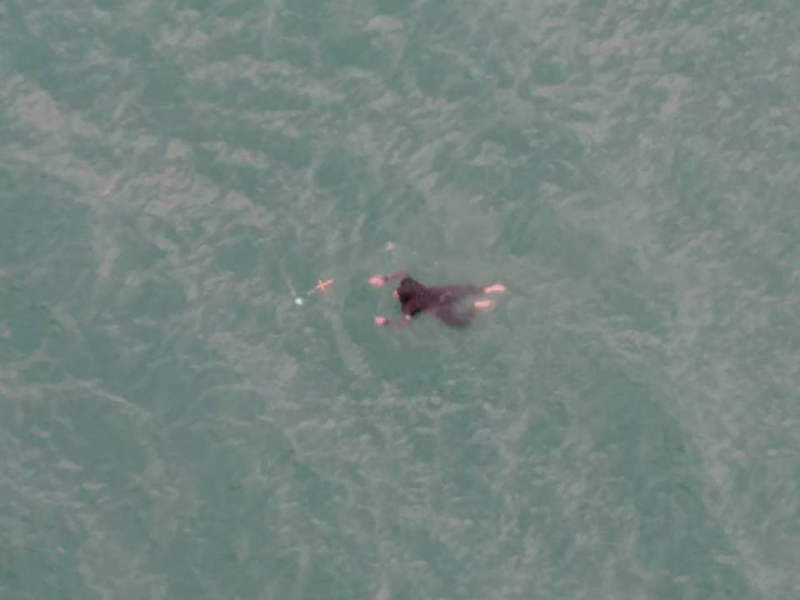 Θεοφάνεια στην Γέφυρα Επισκοπής της Λίμνης Κρεμαστών