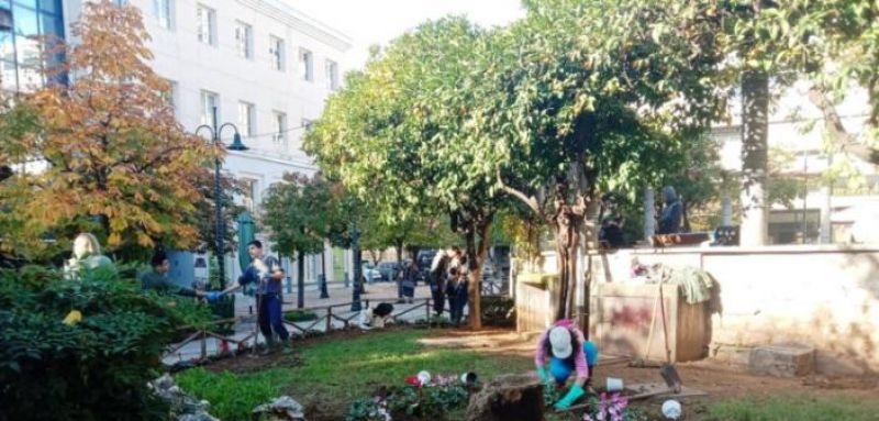 Οι μαθητές που «υιοθέτησαν» την πλατεία Παναγοπούλου φύτεψαν κυκλάμινα
