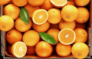 Συνδεδεμένες: ο προϋπολογισμός για χυμοποιήσιμα πορτοκάλια, βιομηχανική ντομάτα, κορινθιακή σταφίδα