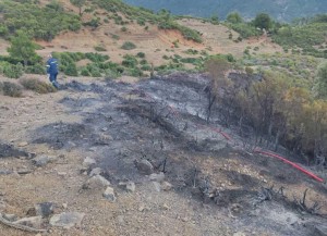 Ύποπτη μεταμεσονύχτια φωτιά στον Εμπεσό Βάλτου (φωτο)