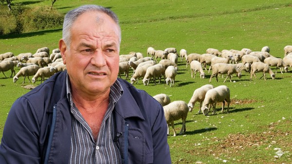 Γεννημένος ανάμεσα στα ζώα | Ο Χρήστος και τα πρόβατά του (Βίντεο)