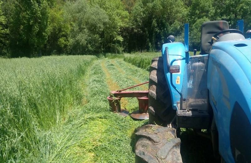 Έκπτωση φόρου έως 2.100 ευρώ σε αγρότες