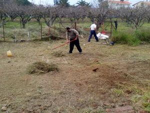Καθαρισμό οικοπέδων συστήνει στους ιδιοκτήτες τους ο Δήμος Αγρινίου