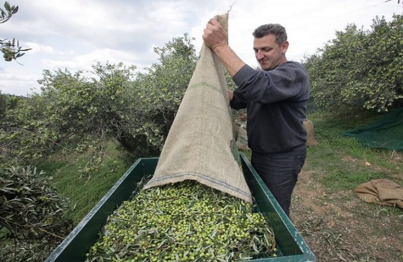 Στο επίκεντρο οι εργάτες γης και τα εργόσημα