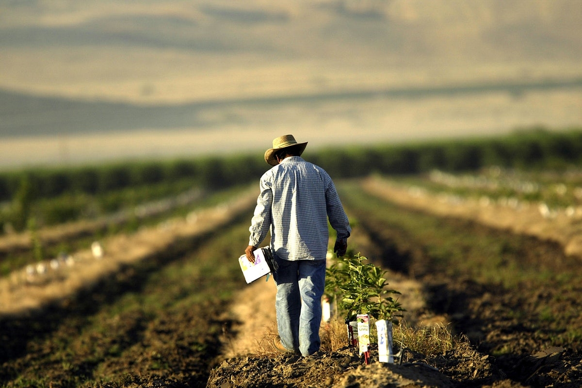 Τροποποίηση των αποφάσεων για ecoschemes, βιολογική γεωργία &amp; κτηνοτροφία