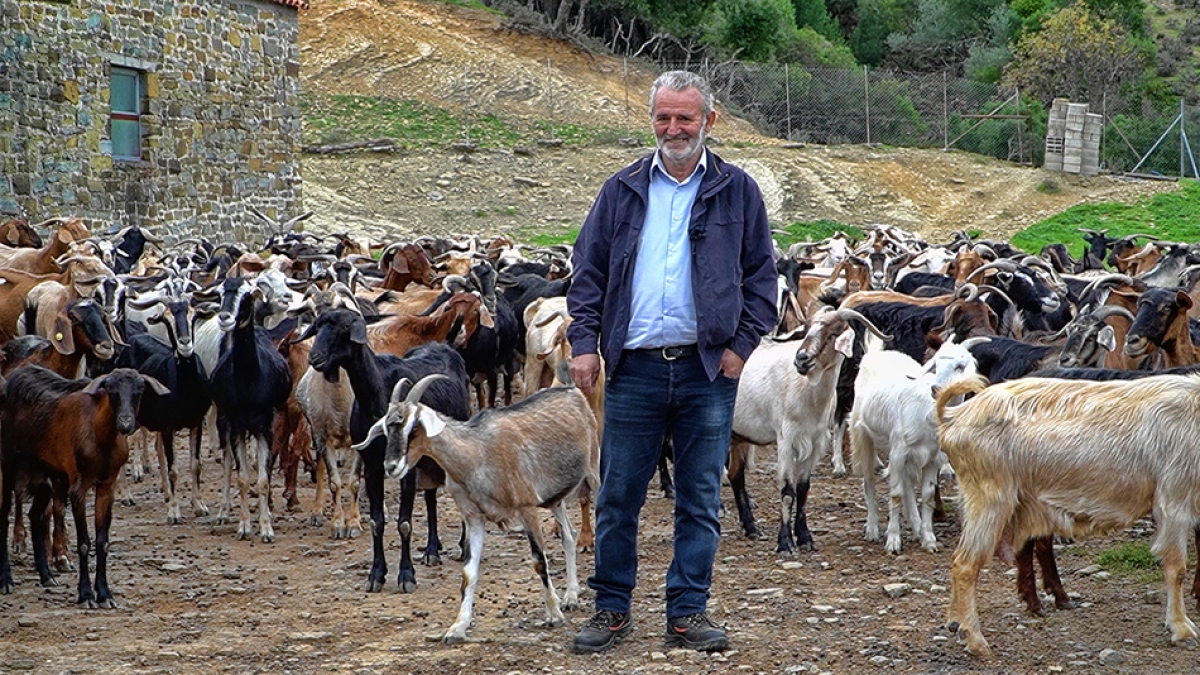 Επιστροφή στο χωριό-Συμβουλές επιτυχίας από έναν επαγγελματία κτηνοτρόφο