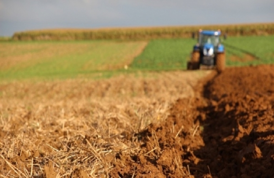 Σταθερή ανάπτυξη για το εμπόριο γεωργικών προϊόντων διατροφής της ΕΕ