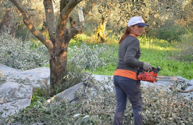 Καταβάλλονται τα χρηματικά βοηθήματα σε πολύτεκνες και τρίτεκνες αγρότισσες μητέρες