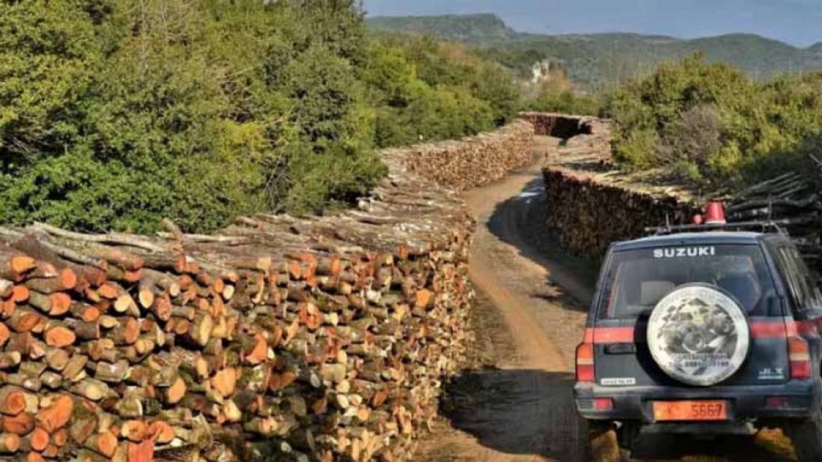 Περιμένουν ενίσχυση τα δασαρχεία που νομού – Περιπολίες μετ’ εμποδίων