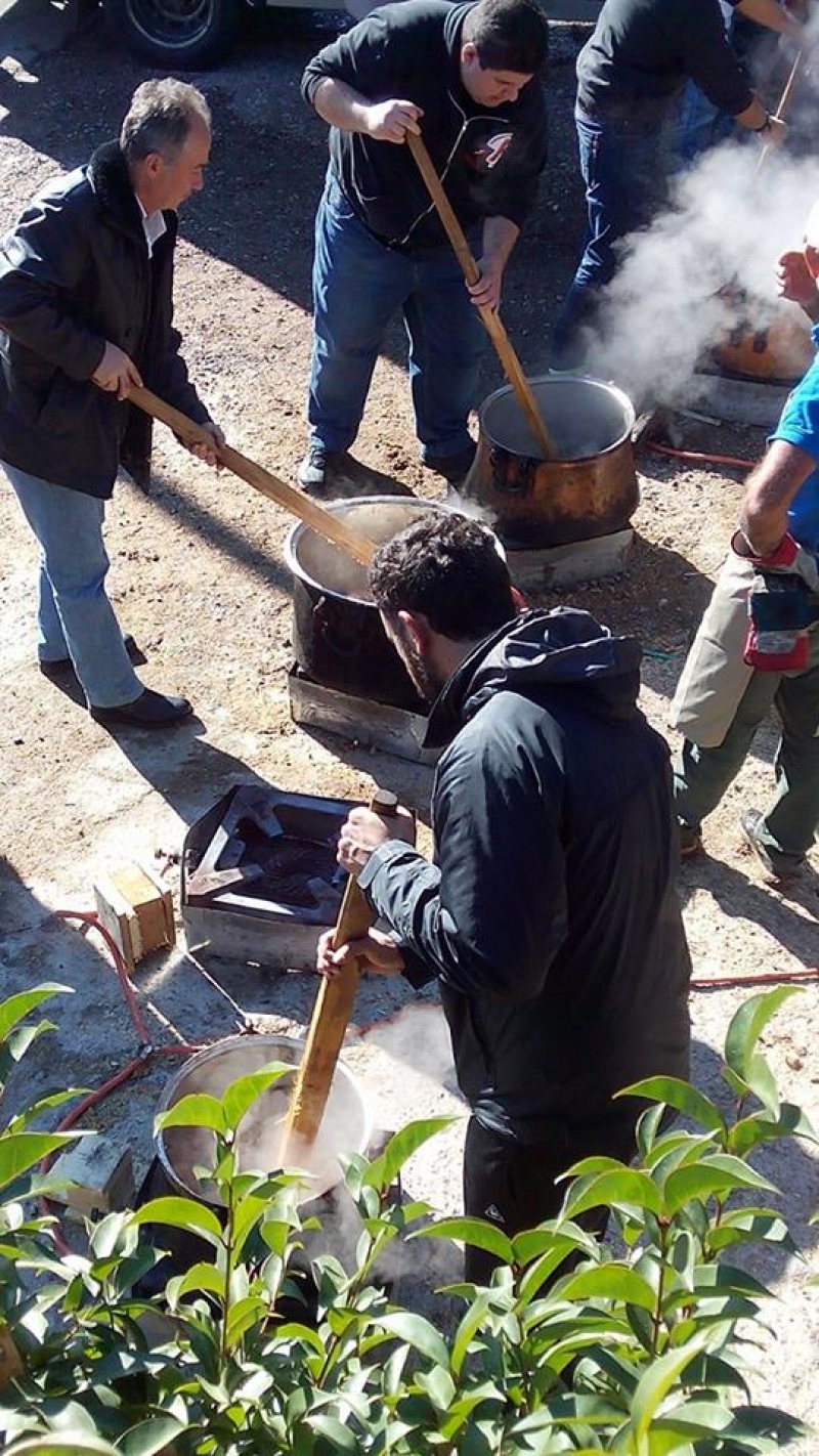 Γιορτή Τσιγαρίδας στις Φυτείες (φωτο)