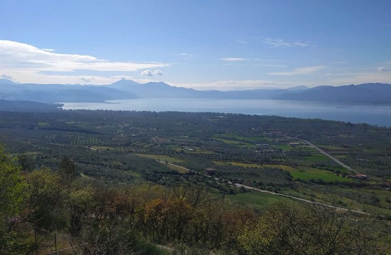 Εθνικό Μητρώο Αγροτικών Συνεταιρισμών