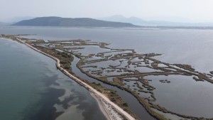 Προχωρά η διαδικασία για την αναγνώριση της γαρίδας και της σαρδέλας Αμβρακικού