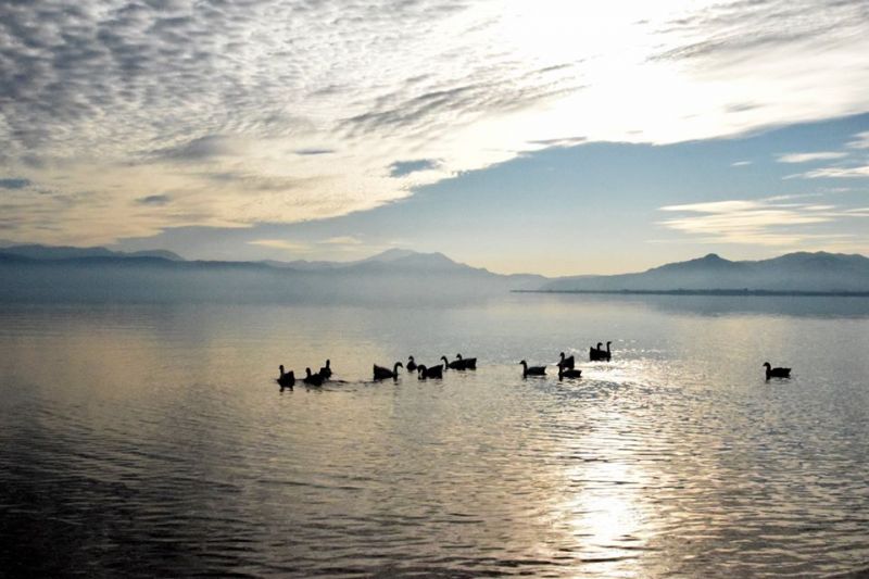Πρόγνωση καιρού εβδομάδος 13-19/1 για το Αγρίνιο....