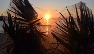 Το ηλιοβασίλεμα στις αράχνες του Αιτωλικού (φωτο)