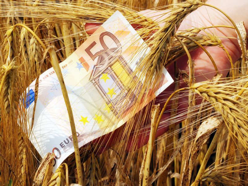 Αγροτική επιδότηση μέχρι 14.000 ευρώ – Δικαιούχοι &amp; αιτήσεις