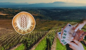ΟΠΕΚΕΠΕ: Το κράτος της ατιμωρησίας και η υποχρέωση της αποκάλυψης. Ποιοι τα πήραν και ποιοι τους κάλυψαν;