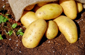 Στο Γενικό Λογιστήριο του Κράτους ο φάκελος για πατάτα-καρπούζι