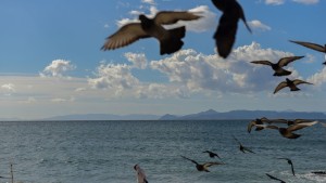 Καιρός σήμερα: Κυριακή των Βαΐων με ήλιο και λίγες νεφώσεις στα δυτικά