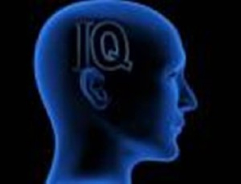 Τεστ νοημοσύνης στο Αγρίνιο
