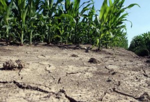Meteo: Σε συνθήκες ξηρασίας μεγάλο μέρος της Αιτωλοακαρνανίας