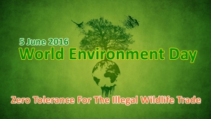 5 Ιουνίου-Παγκόσμια Ημέρα Περιβάλλοντος «Αγρίεψε για την Αγρια Ζωή»